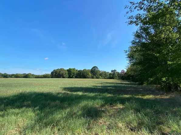 0 County Road 174 E, Overton, TX 75684