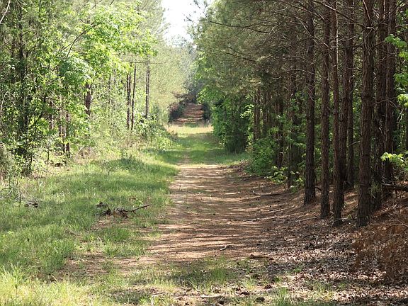 5th image of Deadfall Rd
