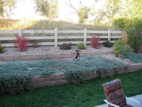 Back yard