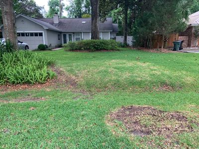 1449 Goodwood Ct, Tallahassee, FL, 32308