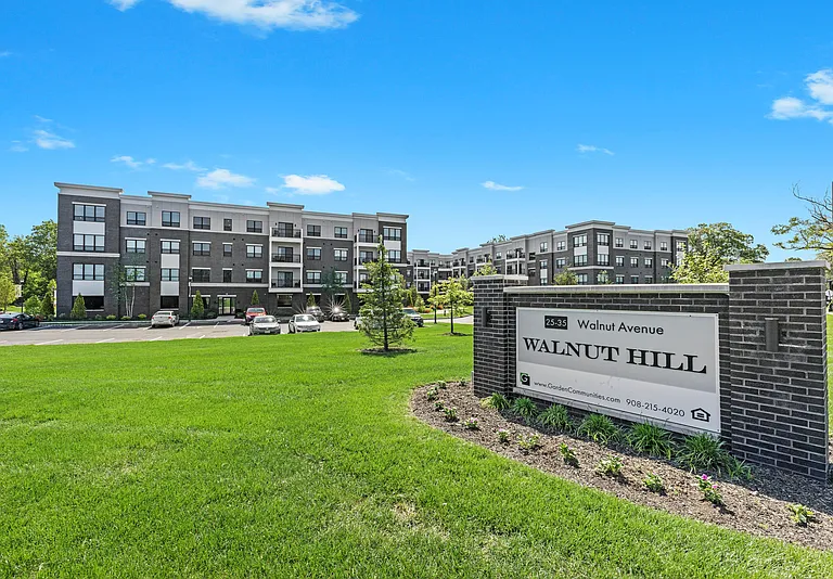 Walnut Hill — Photo 52