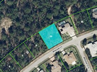 16 Boxleaf Ct, Homosassa, FL 34446
