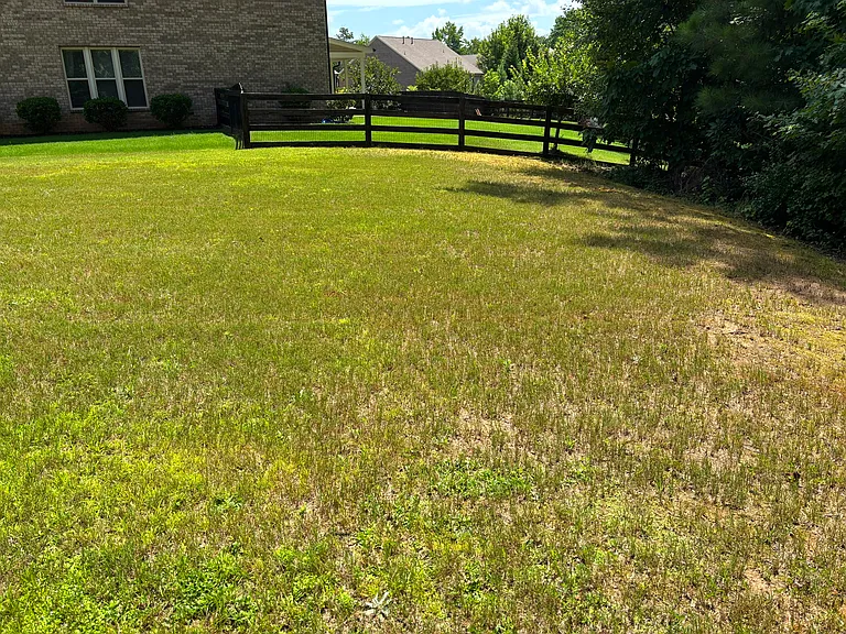 2035 Davallia Ct — Photo 10