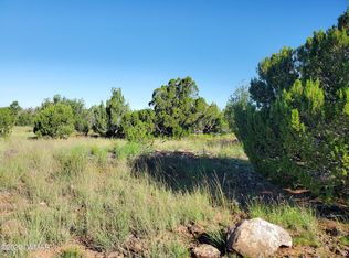 7 County Road 3, Vernon, AZ 85940