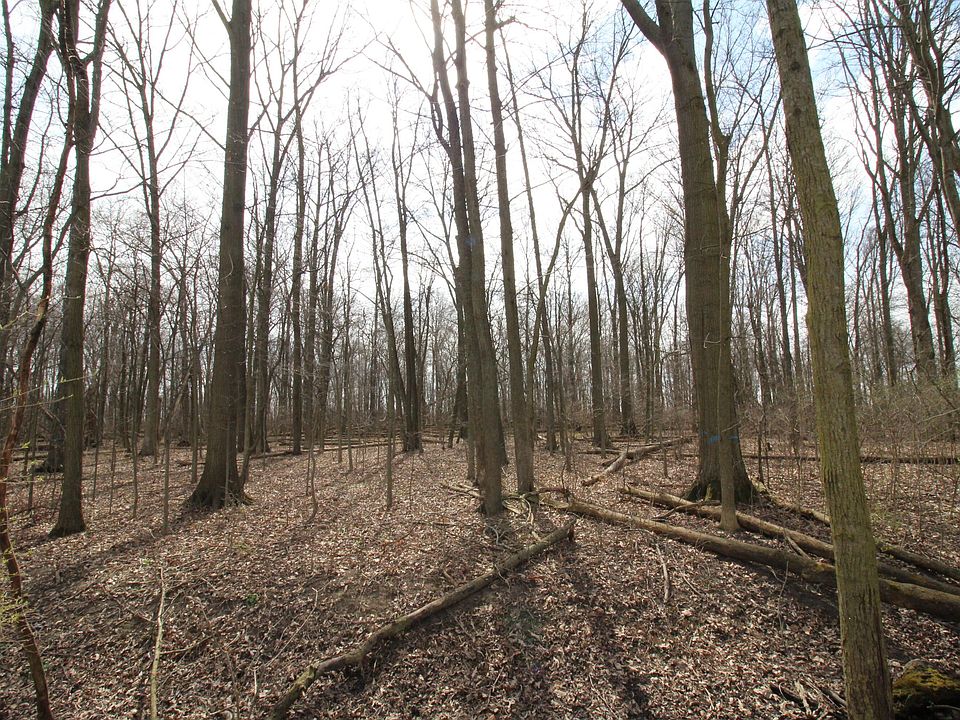 1st image of 0 W Township Road 84
