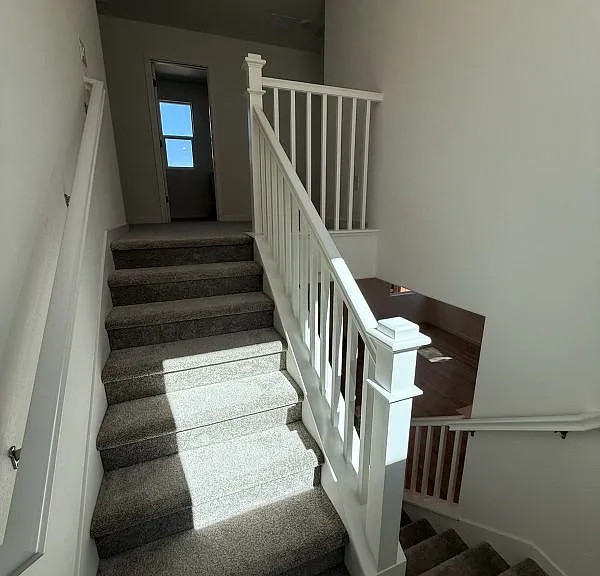 1114 Bengal Loop — Photo 11