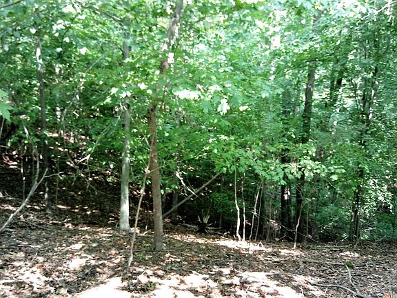 3rd image of 27 Woods Ridge Rd