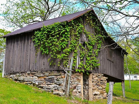 4th image of 4250 Julia Rd