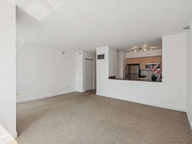 512 N McClurg Ct #3409 — Photo 6