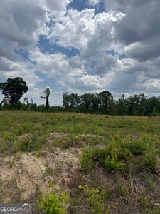 0 Jd Williams Rd, Cadwell, GA, 31009
