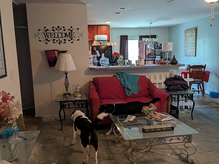 131 Brittondale Rd — Photo 8