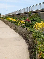 121-16 Ocean Promenade #2C image 1 of 8
