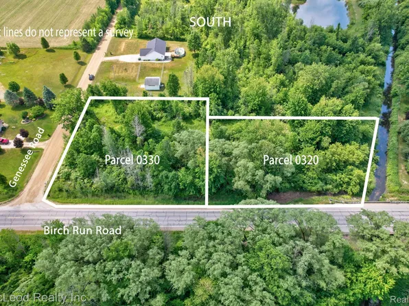 Birch Run Rd, Millington, MI 48746