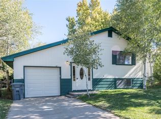 343 S Spruce St, Hayden, CO 81639