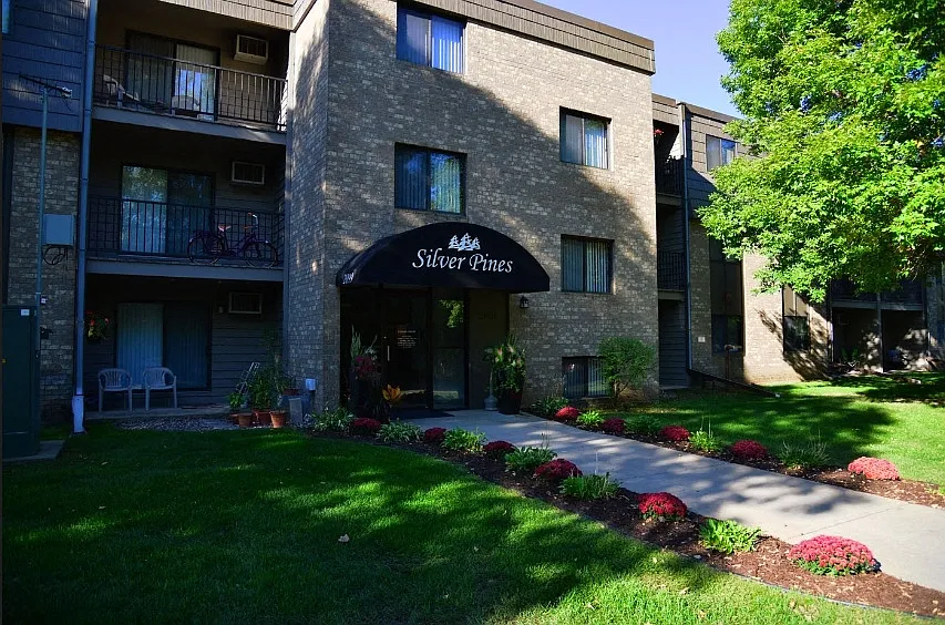 Silver Pines — Photo 4