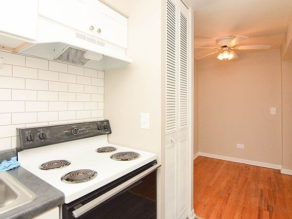 4th image of 541 W Briar Pl #803