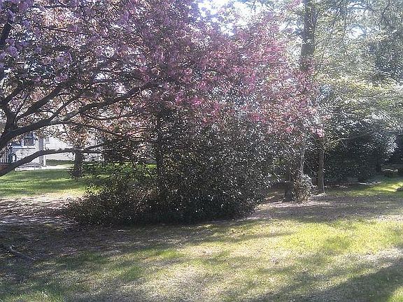 5th image of 18 Manassas Dr