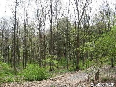 Lot#25 Meudon Drive, Locust Valley, NY, 11560