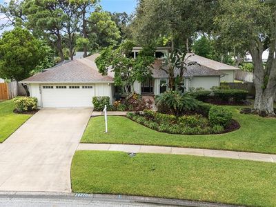 14210 Clarendon Dr, Tampa, FL, 33624