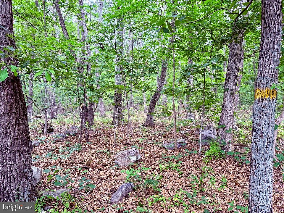 1st image of 21908 White Oak Rd