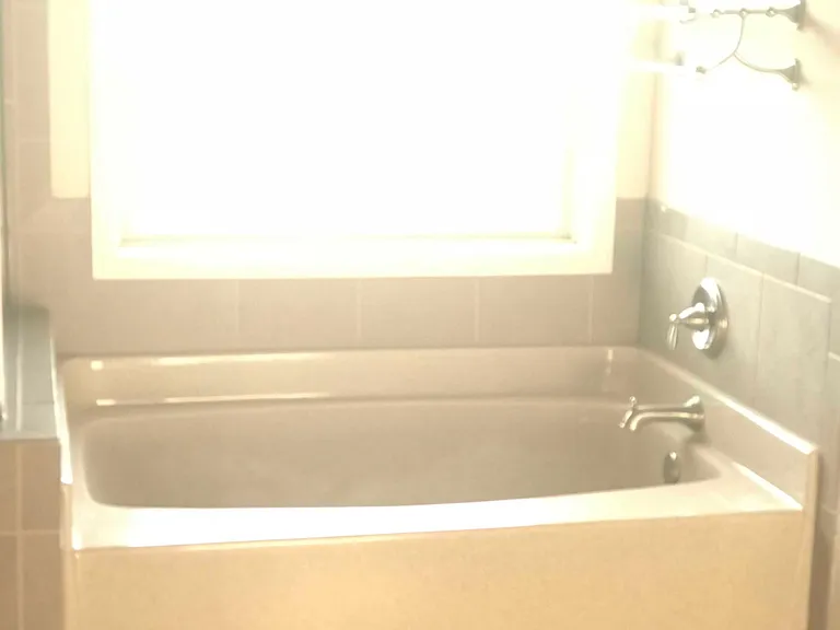 Master Bath Bath Tub