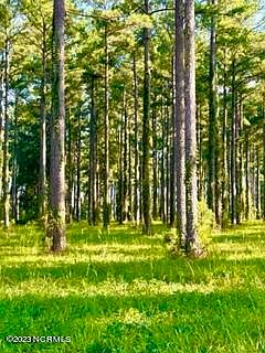4th image of 121 Dawson Creek Boulevard LOT 87