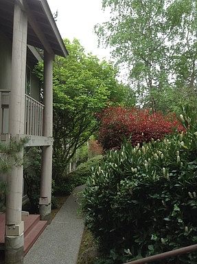 4th image of 513 Bjune Dr SE