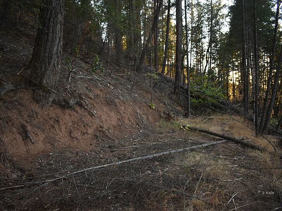 2nd image of 401 Vitzthum Gulch Rd