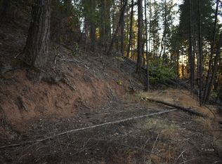 401 Vitzthum Gulch Rd, Douglas City, CA 96024