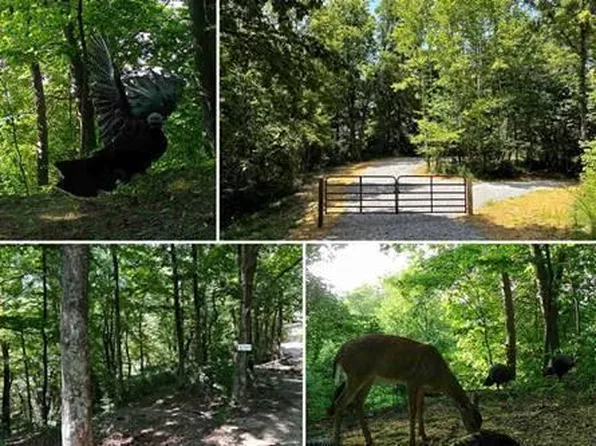 32964 Parkinson Rd Tract 6, Langsville, OH 45741