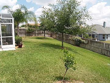 Full Backyard Beyond Pool