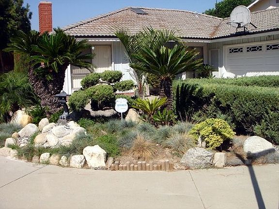 Front house landscape