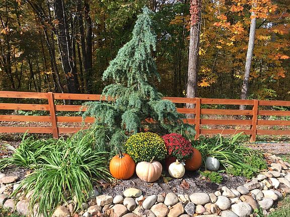 Professionally landscaped
