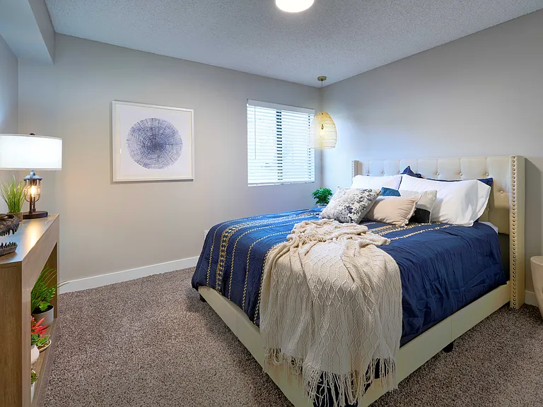 2x1 Renovation