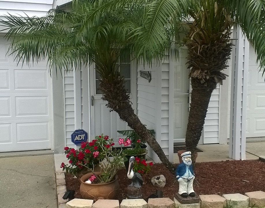 Front Garden