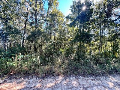 13232 SW 18th Street Rd, Ocala, FL, 34481