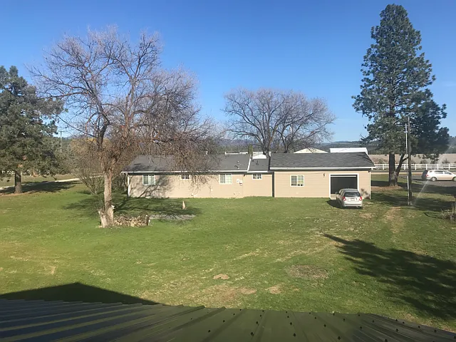 looking out the living room window.