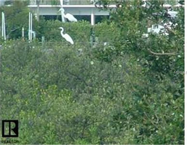 1st image of 8260 Egret Woods Cir