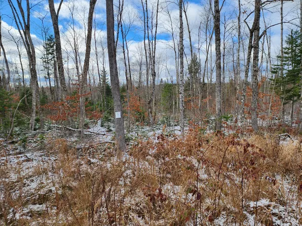 L 4 Greenleaf Brook Acres Road, Amity, ME 04471