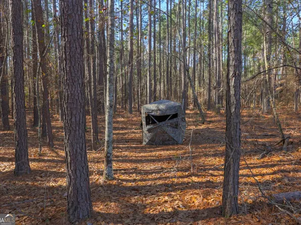 0 Maria Sorrell Rd, Statesboro, GA 30461