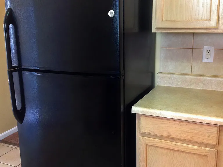 6951 Silver Garden Ln — Photo 5
