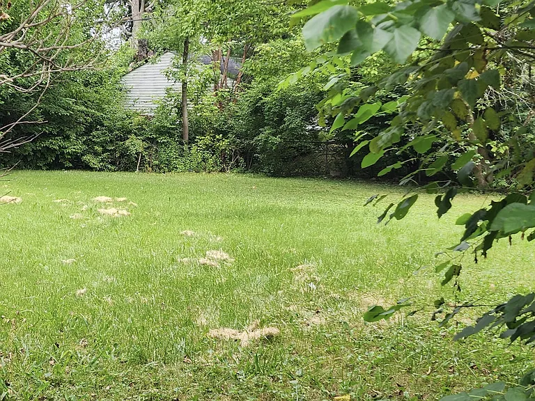 10139 E Chris Dr — Photo 17