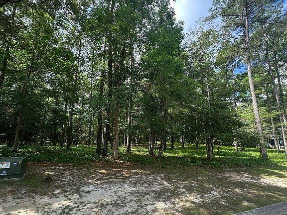 2nd image of 201 Lockhaven Dr SE Lot 233