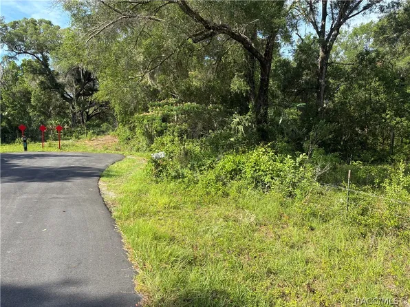 5236 N Oldwood Point, Hernando, FL 34442