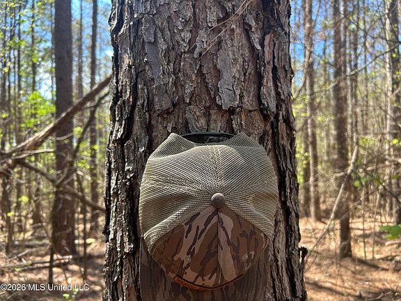 5th image of State Highway 9