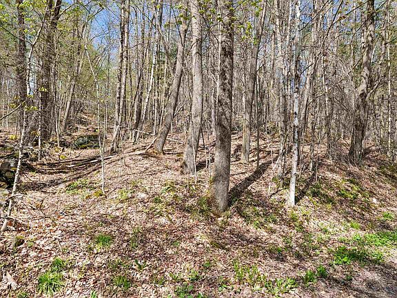 2nd image of 269 Hawkins Road