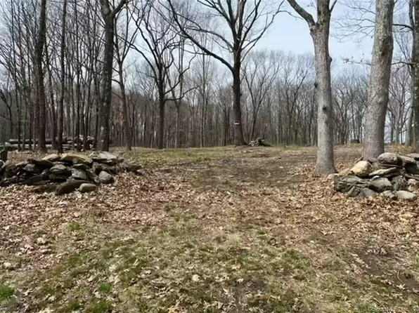 100 Cedar Hill Road, Bridgewater, CT 06752