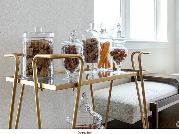 Doggy Bar