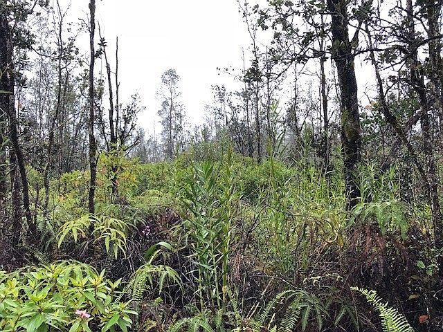 1st image of King Kamehameha Blvd Lot 34