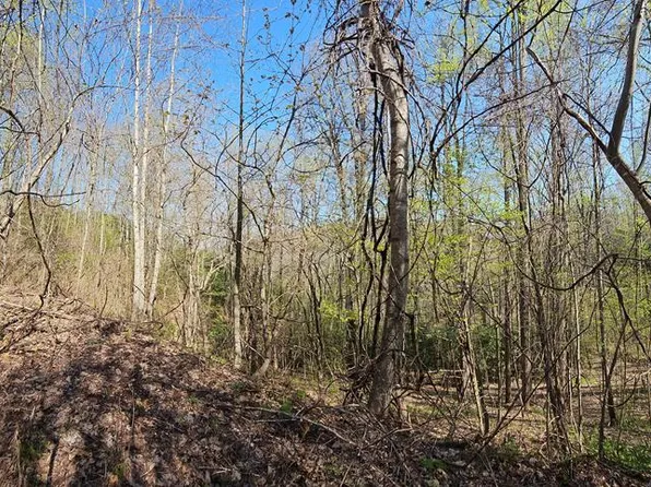 29A Timber Estates Rd, Bryson City, NC 28713